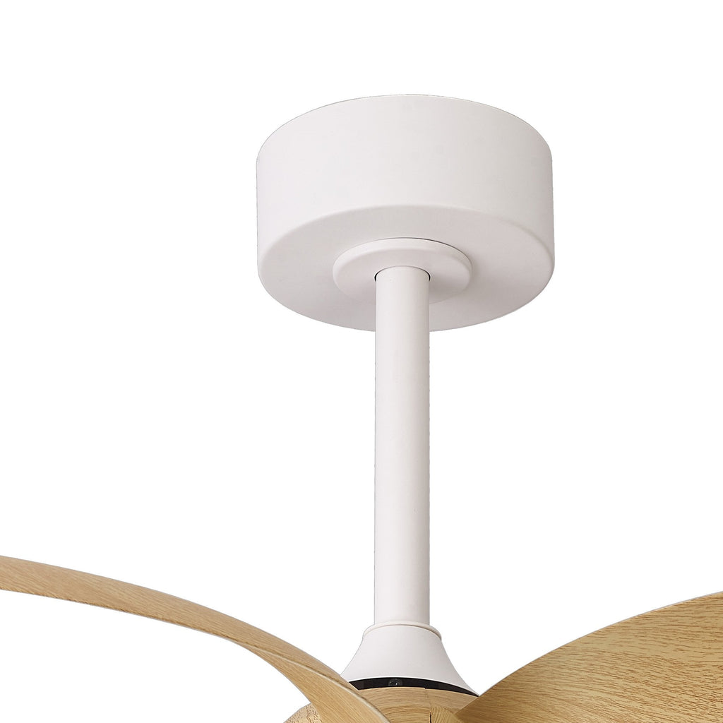 Mantra Infinity Ceiling Fan Light, 24W LED, 30W DC Fan, Remote Control - Wood