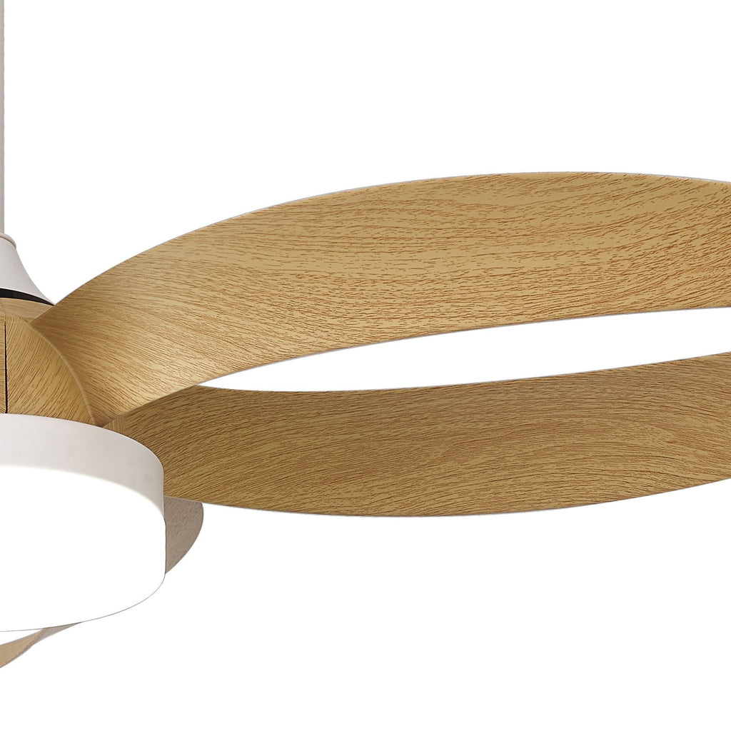 Mantra Infinity Ceiling Fan Light, 24W LED, 30W DC Fan, Remote Control - Wood